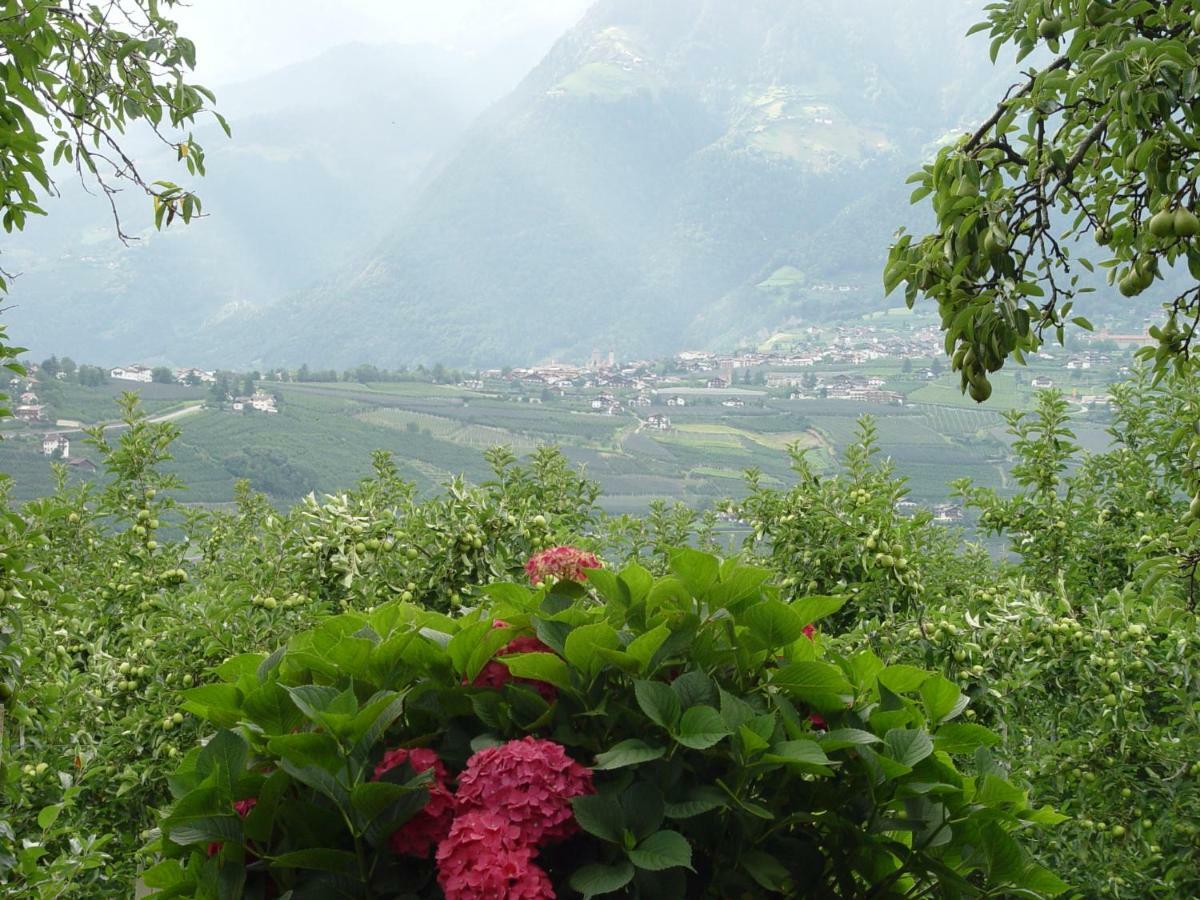 Planta 2* Merano